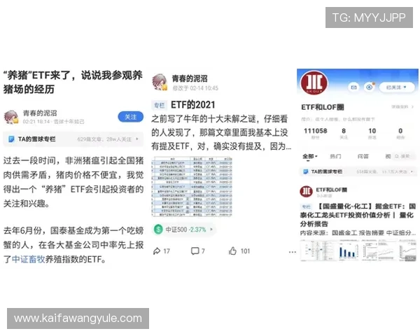 凯发二八杠安全保障措施解析确保玩家资金与个人信息安全的多重保障体系